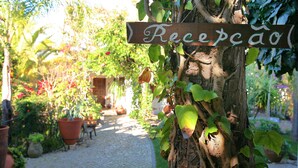 A wooden sign reading "Recepçao" attached to a tree in a garden setting. - Uma Casa à Beira Sol (Lagos)