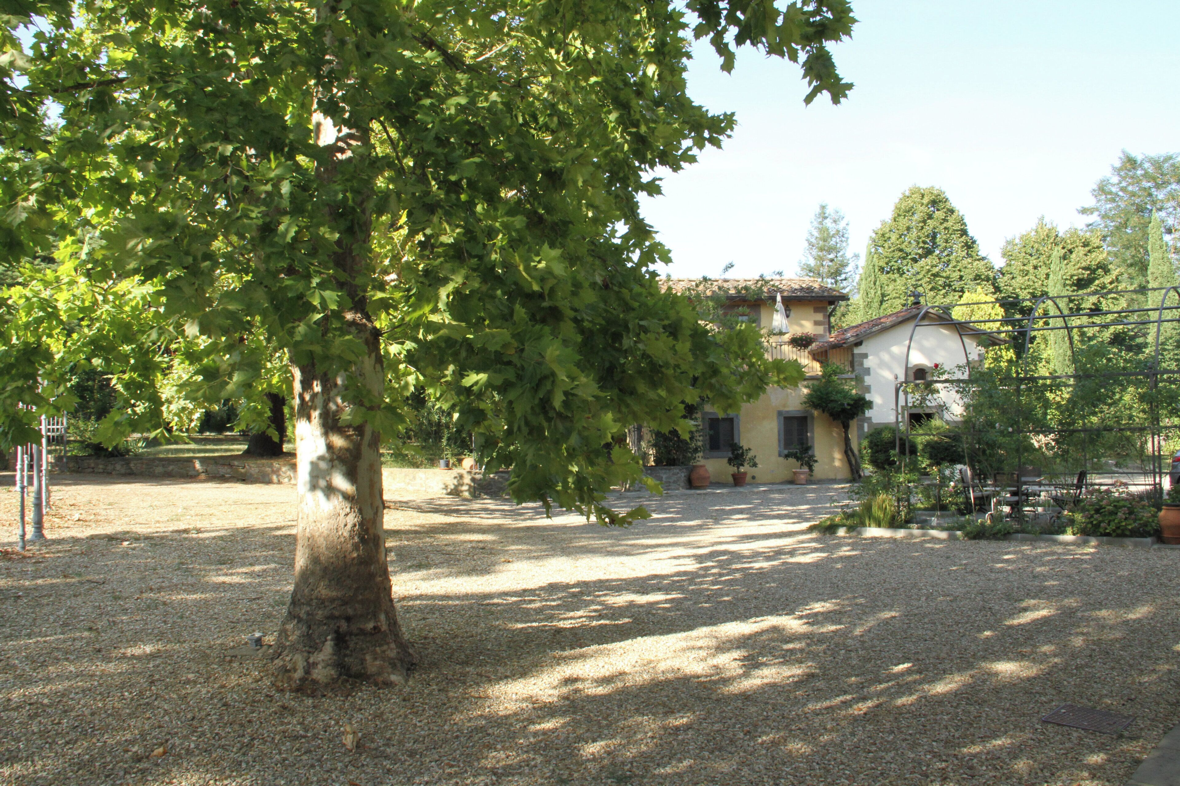 A tree-lined courtyard with a building in the background.
