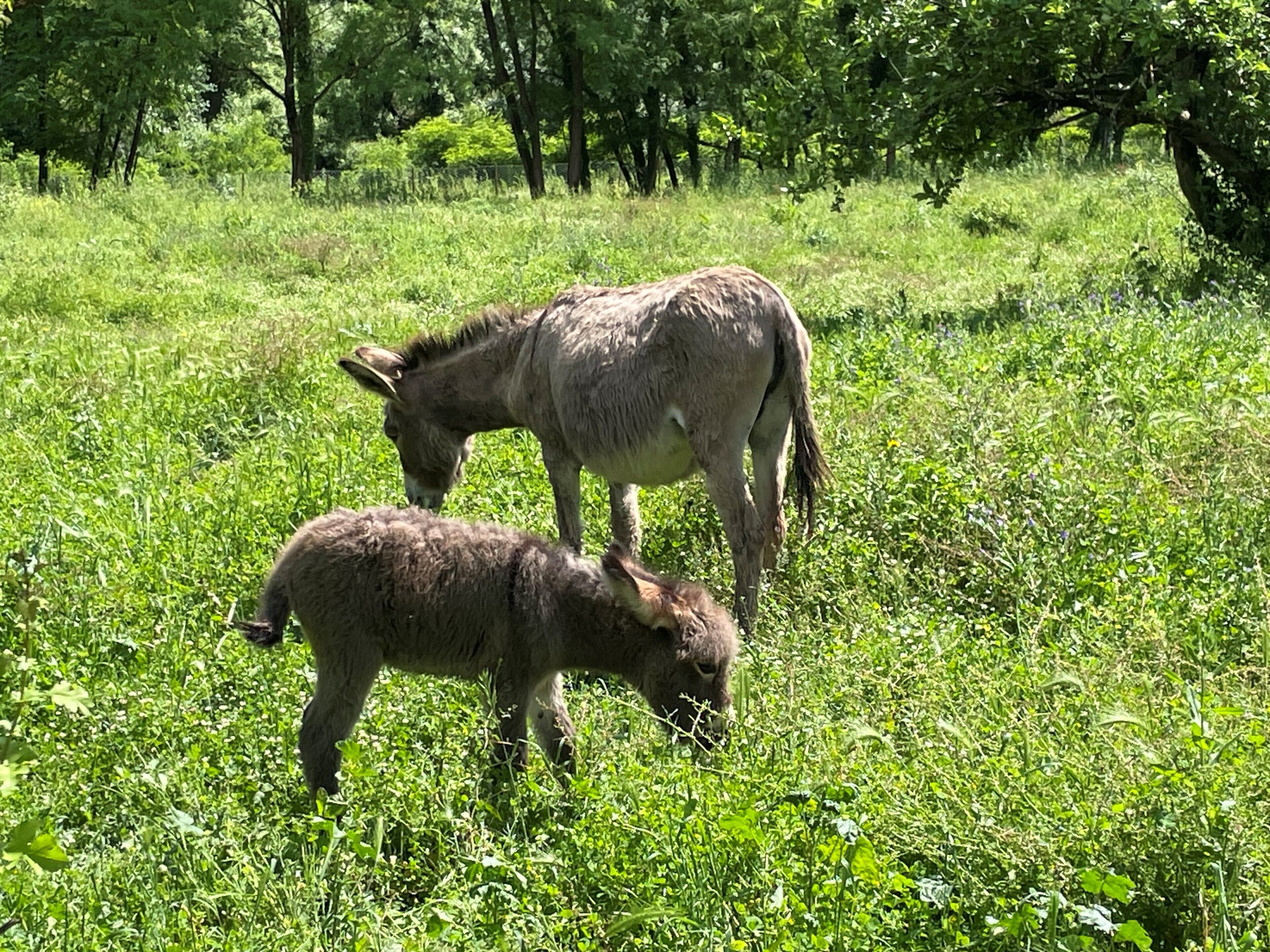 children’s activities