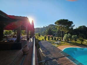 Outdoor pool, an infinity pool, pool umbrellas, pool loungers - Villa Rigacci (Reggello)