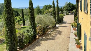 A pathway flanked by tall cypress trees and various shrubs, leading to a yellow building with green shutters. - Villa Rigacci (Reggello)