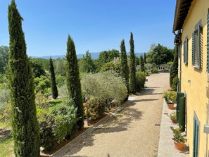 Exterior - Villa Rigacci (Reggello)