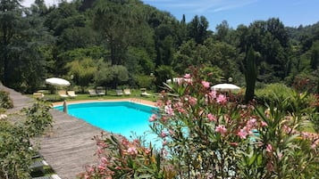 Relax by the serene pool surrounded by lush greenery and trees, with lounge chairs and umbrellas for a tranquil retreat.