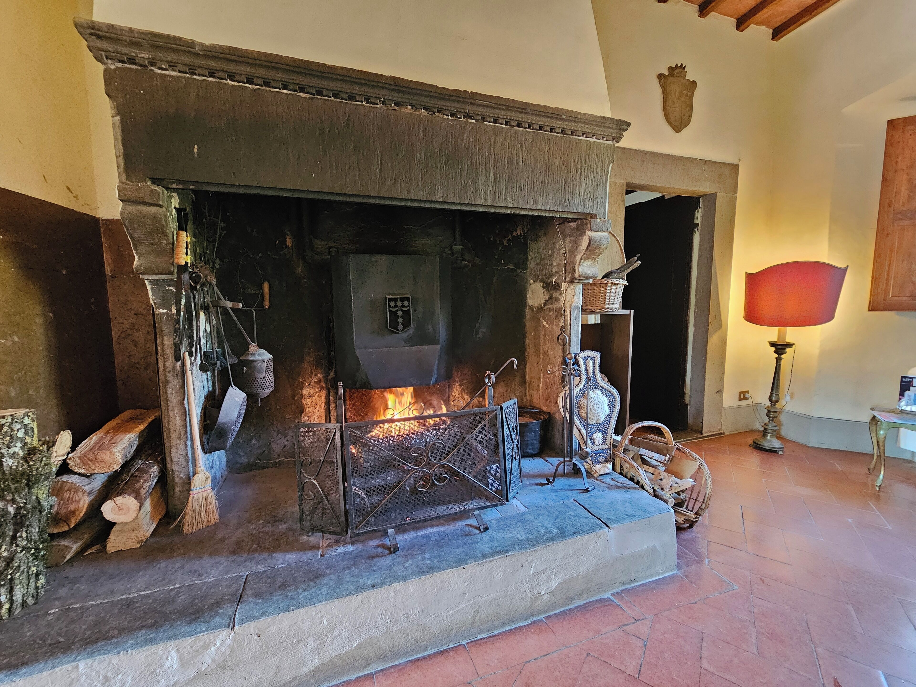 Una chimenea con leña, una reja metálica y un perchero.