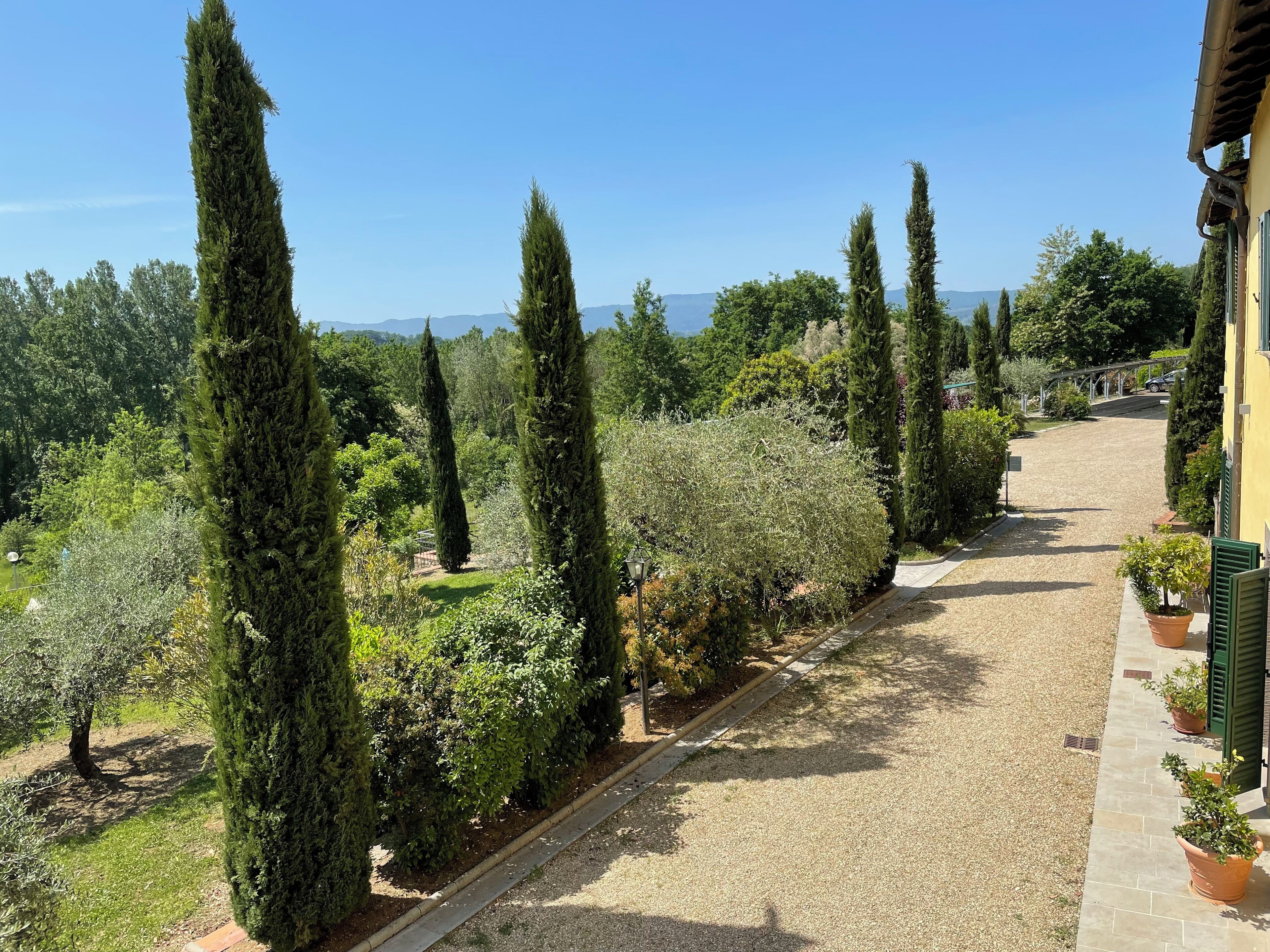 A gravel pathway flanked by tall cypress trees and various shrubs, leading to a building with a yellow facade and green shutters.