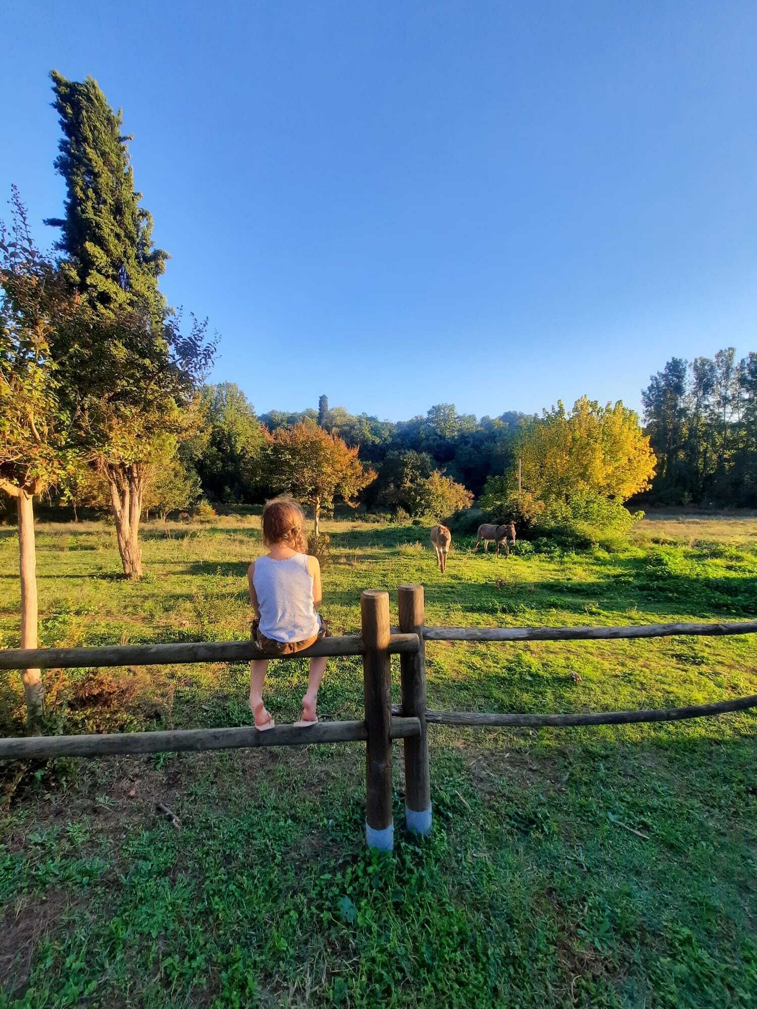 children’s activities