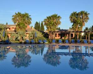 Une piscine aux eaux cristallines, bordée de palmiers et de chaises longues.
