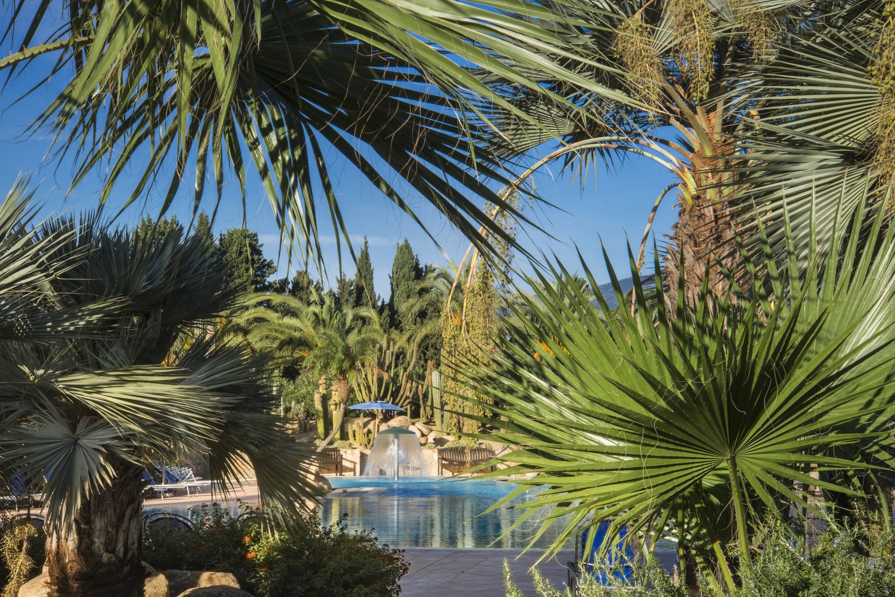 Seasonal outdoor pool, pool umbrellas, sun loungers