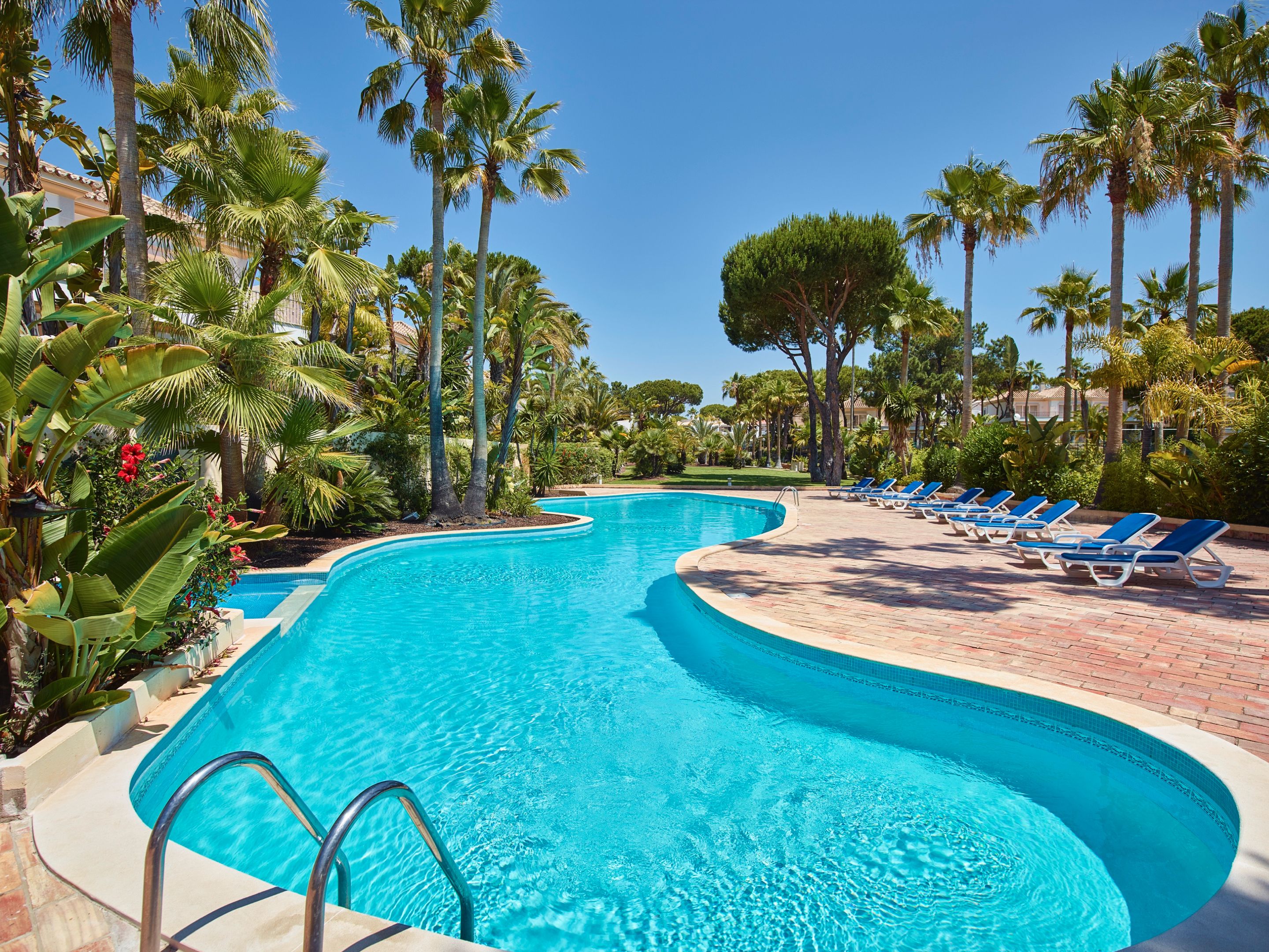 Une piscine à bord incurvé, entourée de palmiers et de chaises longues.