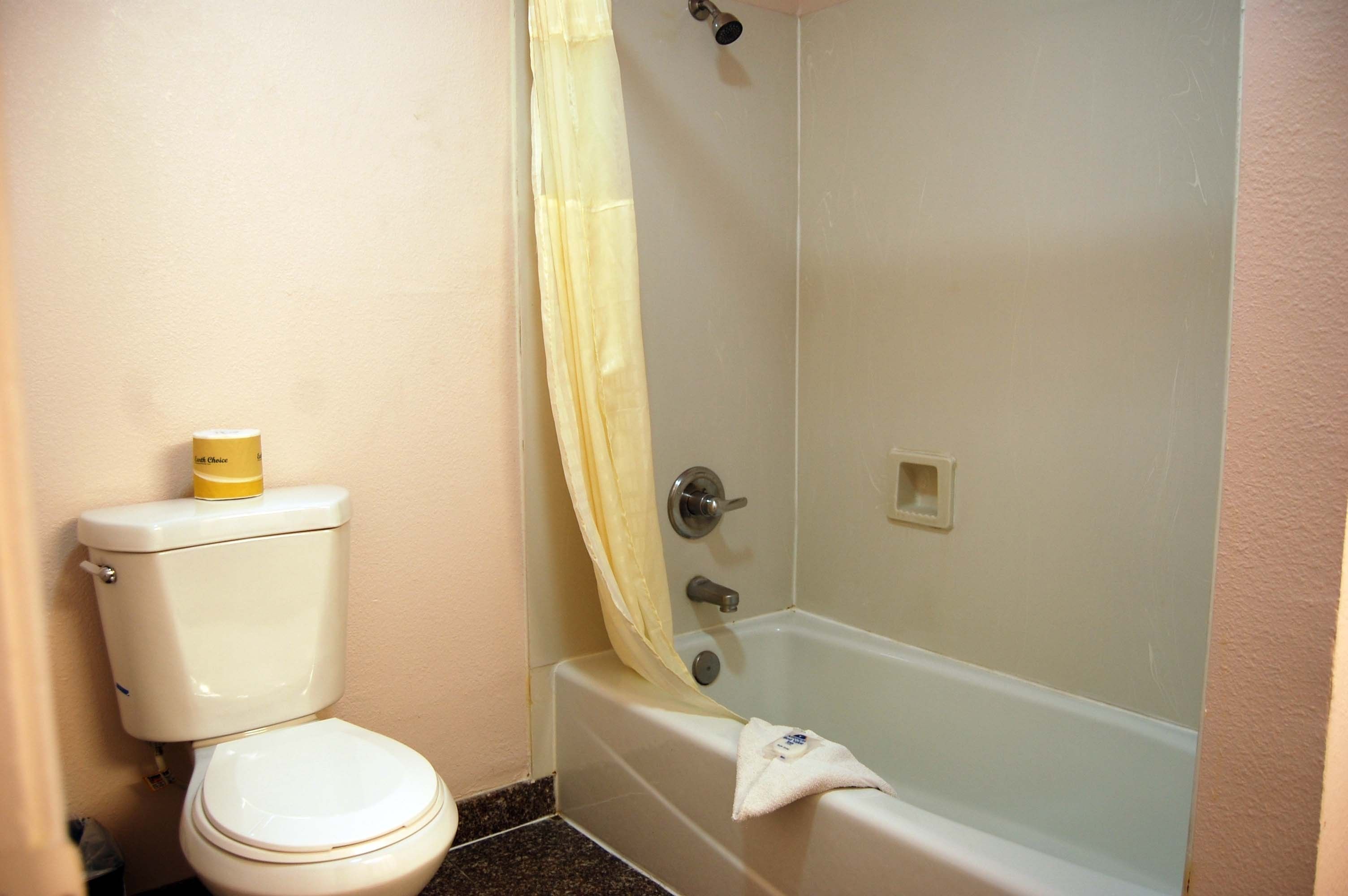 A bathroom with a toilet, a bathtub, and a shower curtain.