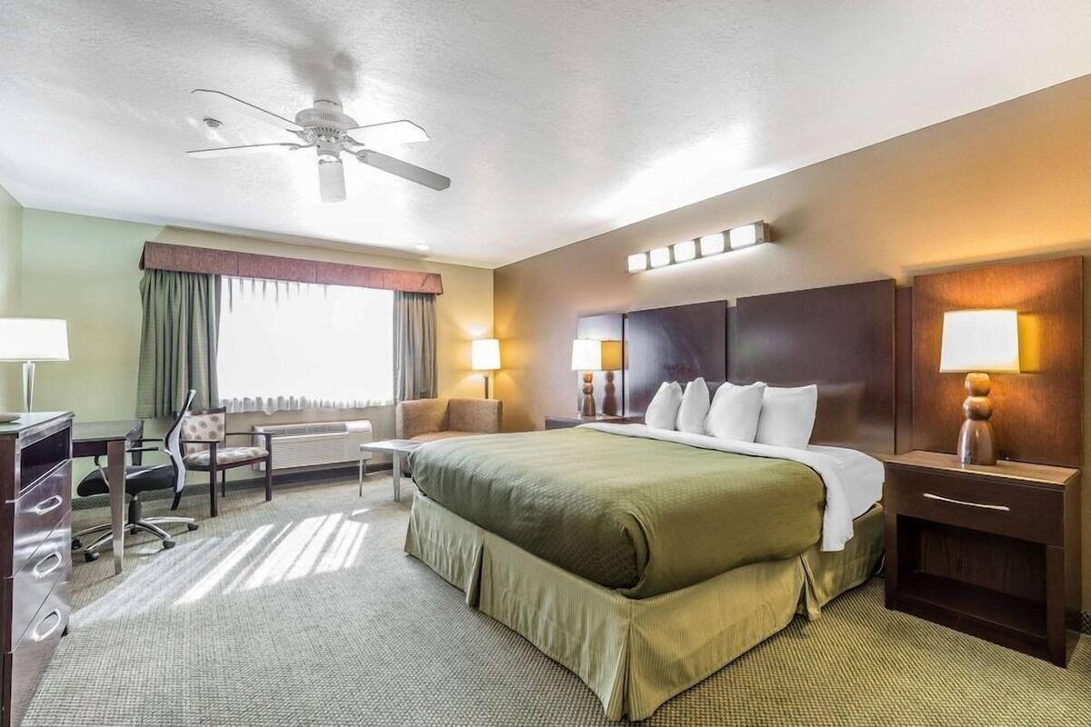 A hotel room with a bed, desk, chair, lamp, and a ceiling fan.