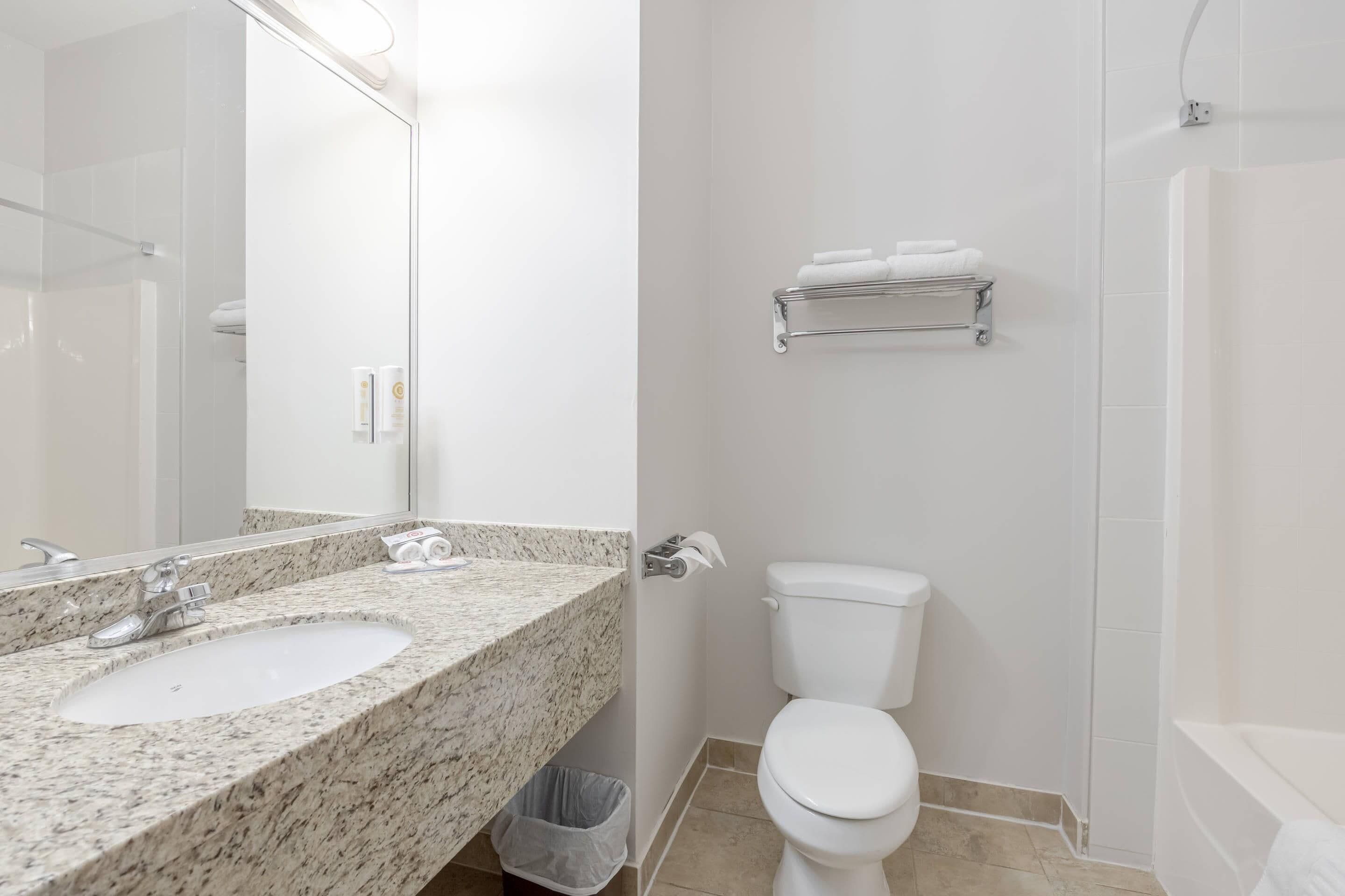 Een badkamer met een wastafel, toilet en douche.