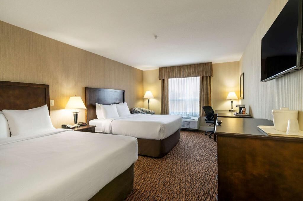 Premium bedding, pillowtop beds, desk, laptop workspace