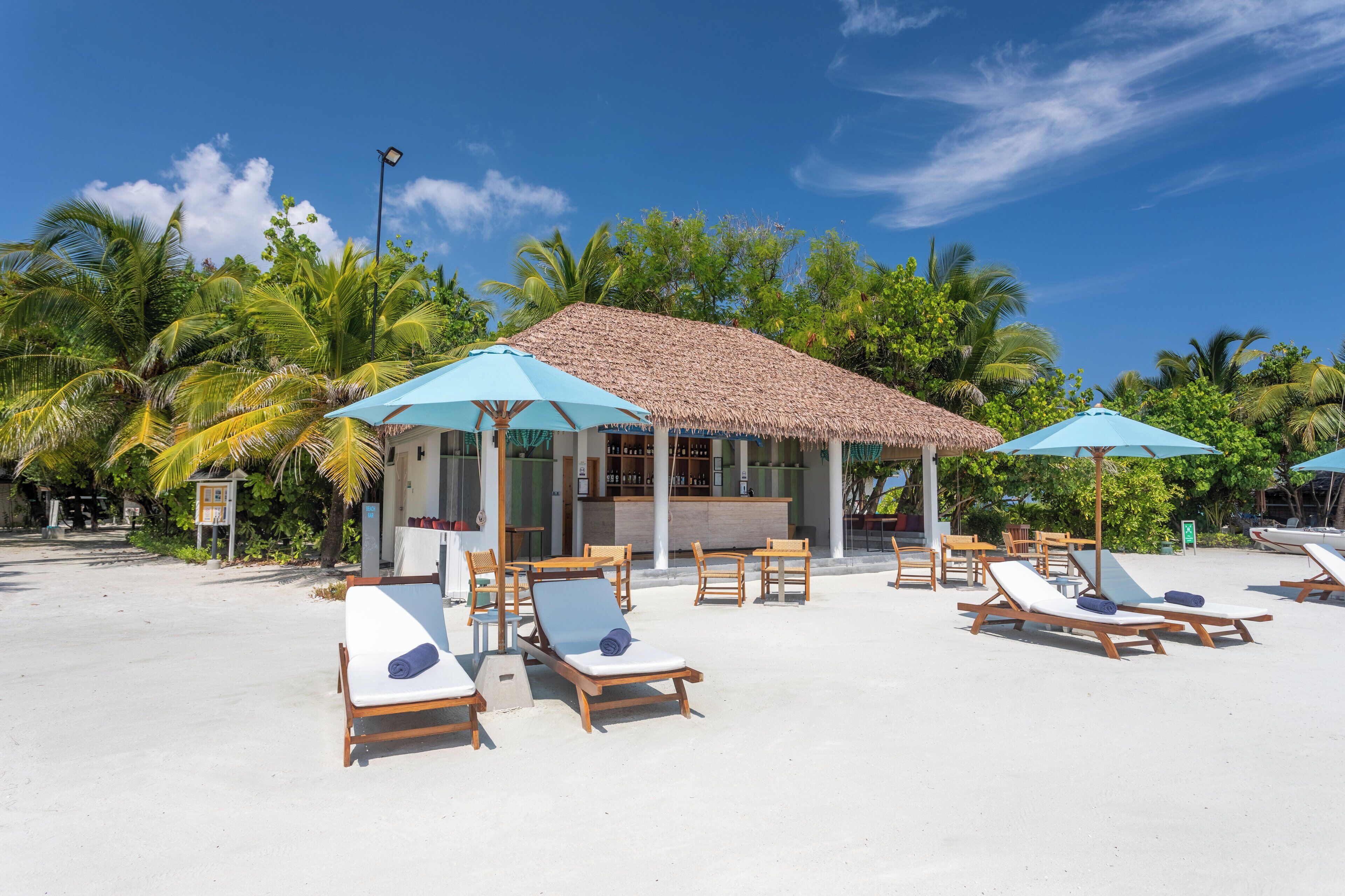 A beachside resort with wooden lounge chairs and umbrellas, a thatched-roof building, and palm trees.