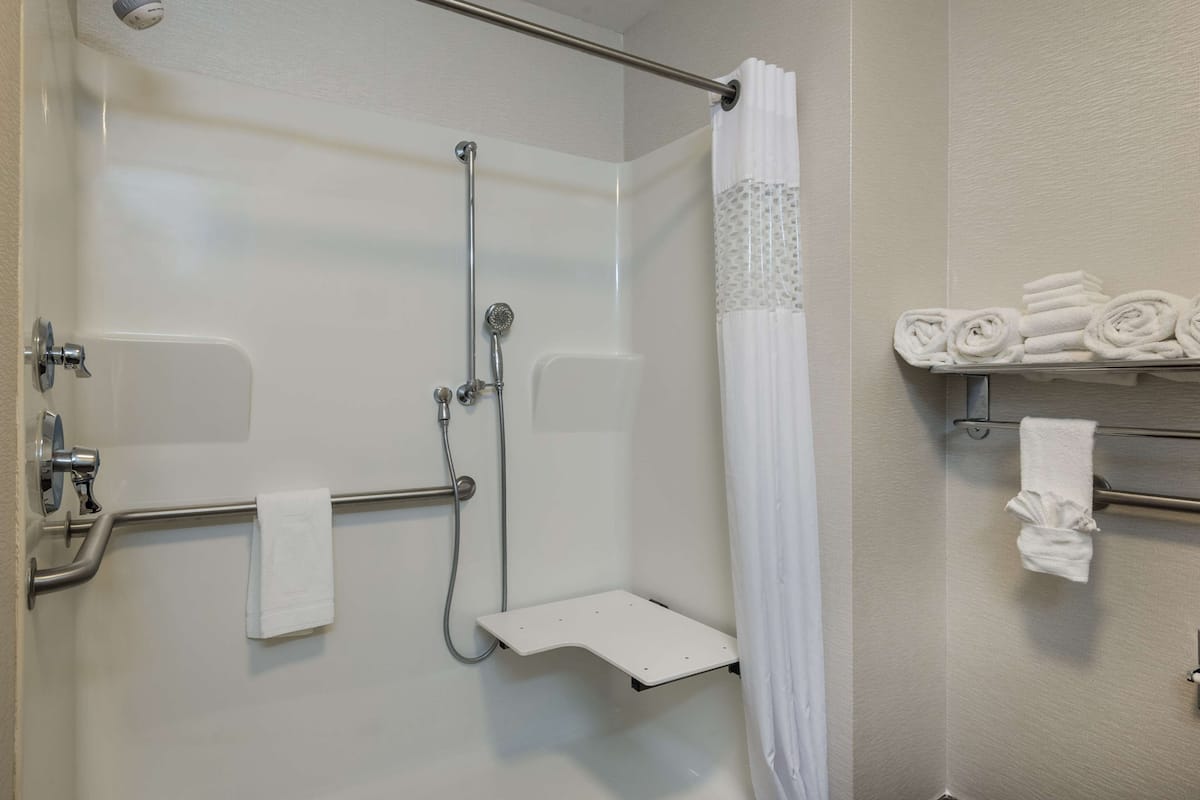 room, 1 king bed, accessible, non smoking | bathroom shower