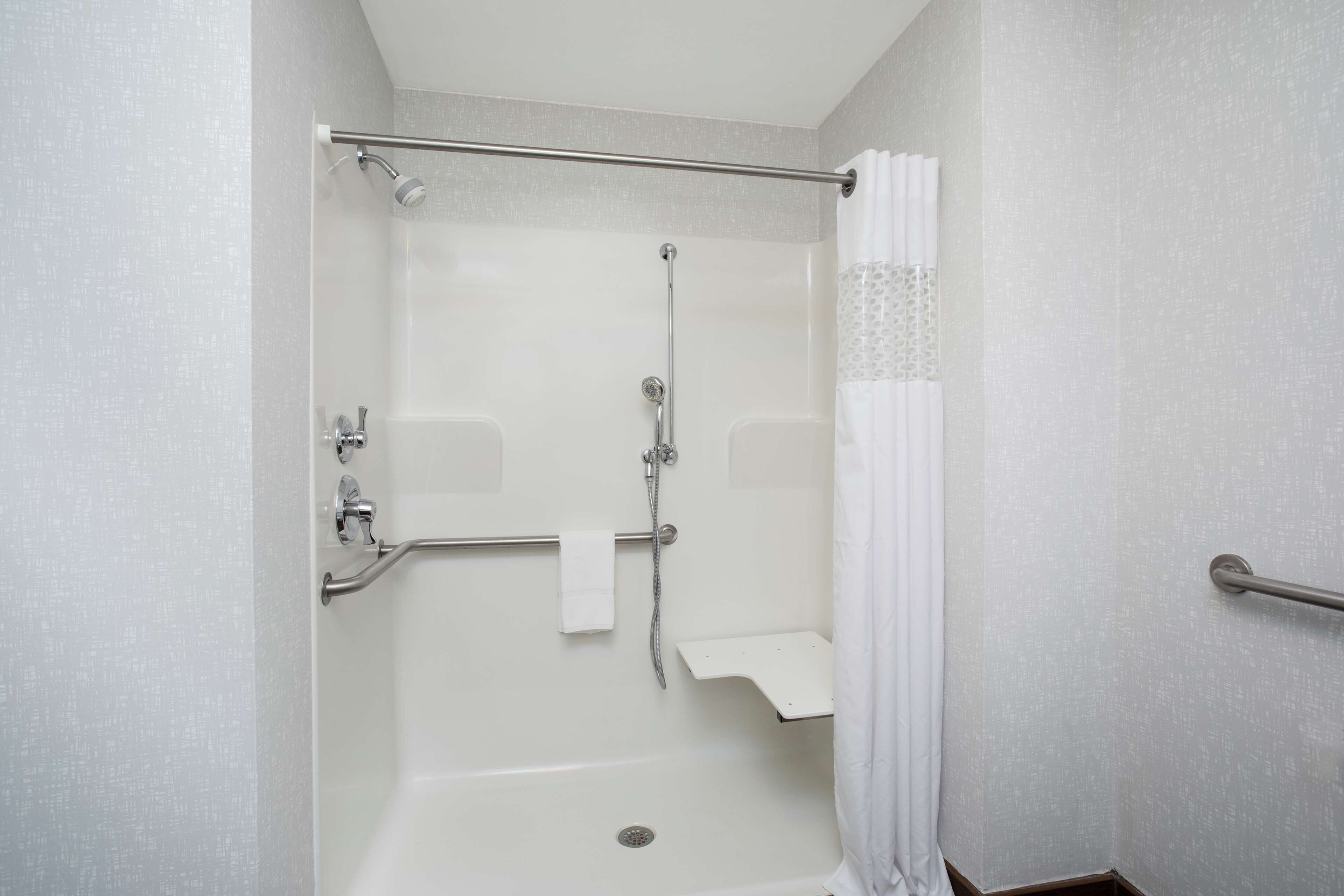 room, 1 king bed, accessible, non smoking | bathroom shower