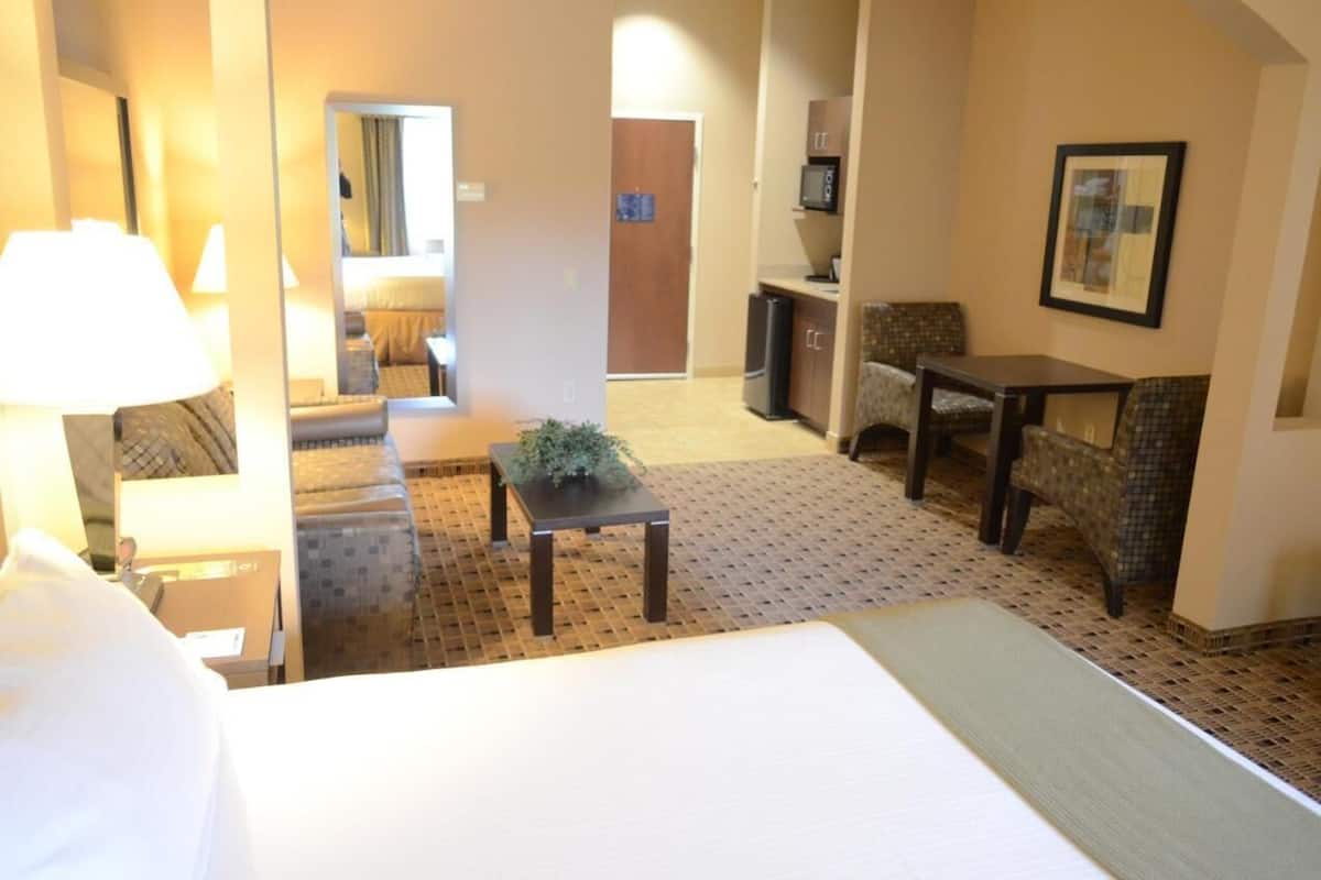 A hotel room with a bed, a small table with a plant, a chair, a desk, and a microwave.