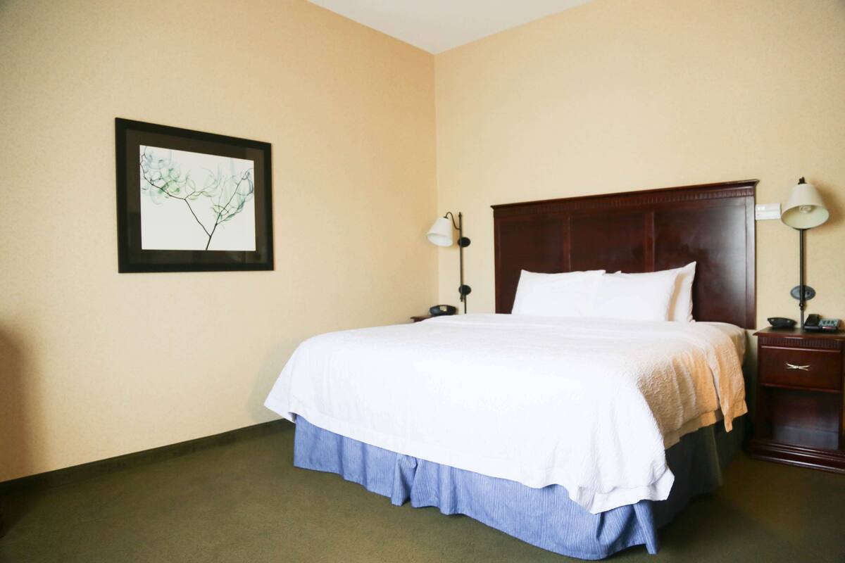 A hotel room with a large bed, a nightstand, a lamp, and a framed picture on the wall.