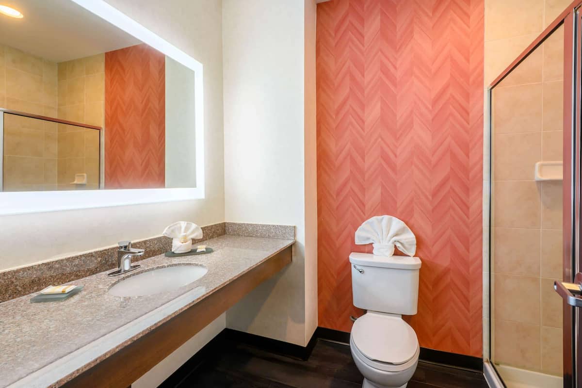 Ein modernes Badezimmer mit Marmorwaschtisch, einem großen Spiegel, einer weißen Toilette und einer Duschkabine.