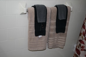 Combined shower/tub, free toiletries, hair dryer, towels