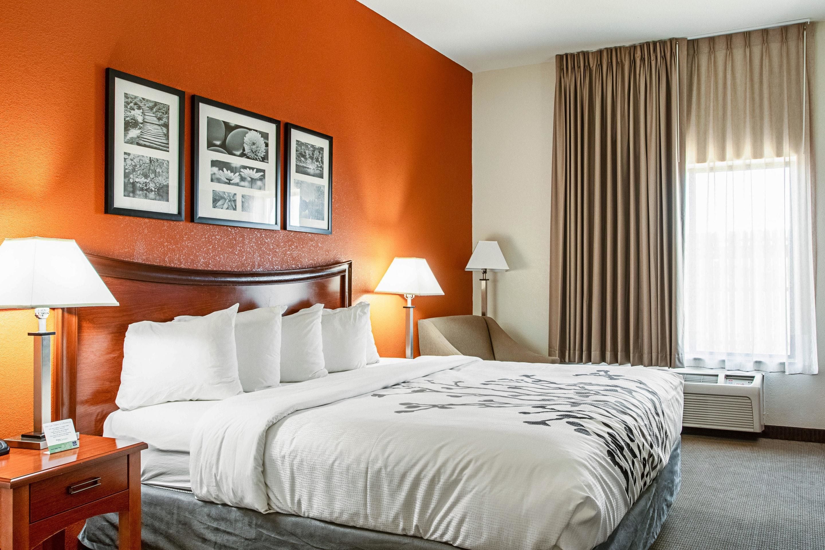 Studio, 1 King Bed, Accessible, Non Smoking | Blackout drapes, soundproofing, iron/ironing board, free WiFi