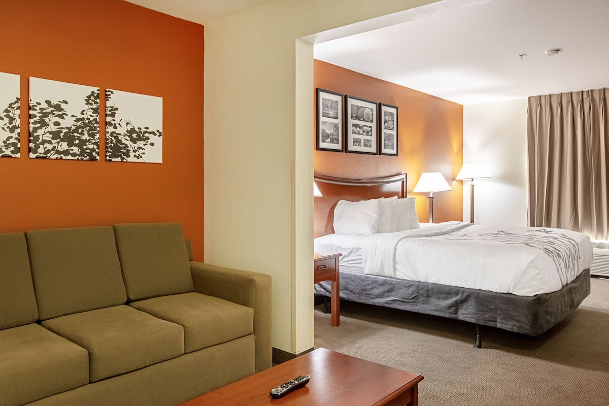A hotel room with a sofa, a bed, a bedside table, and a remote control on the table.