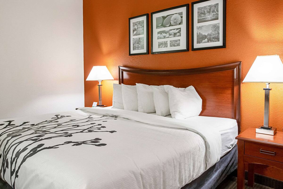 standard room, 1 king bed, non smoking | 1 bedroom, blackout curtains, soundproofing, iron/ironing board