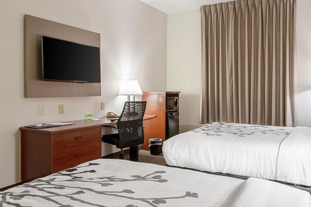 A hotel room with two beds, a desk with a chair, a television, a lamp, and a minibar.