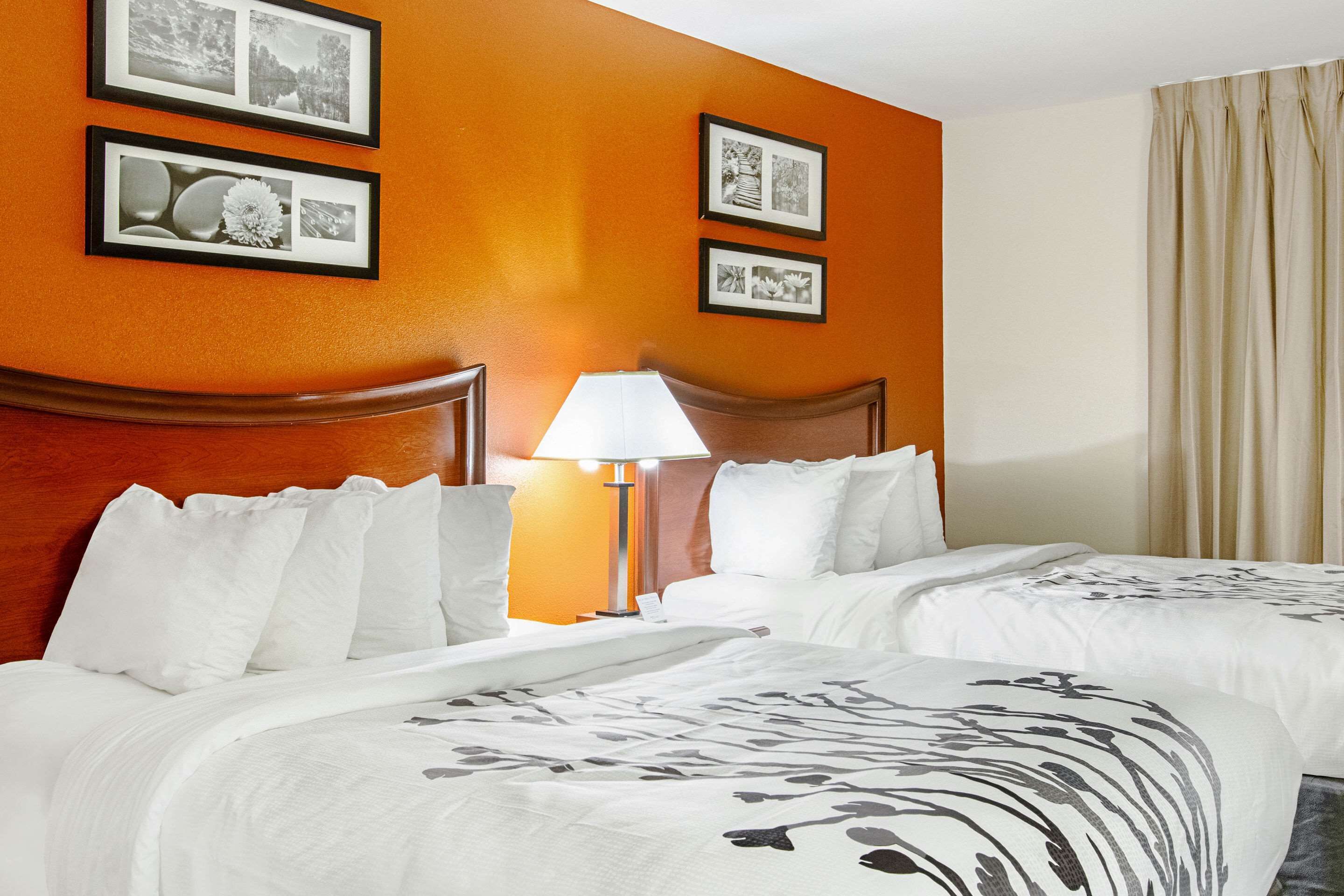 A hotel room with two beds, a wooden headboard, a bedside table with a lamp, and framed pictures on the wall.