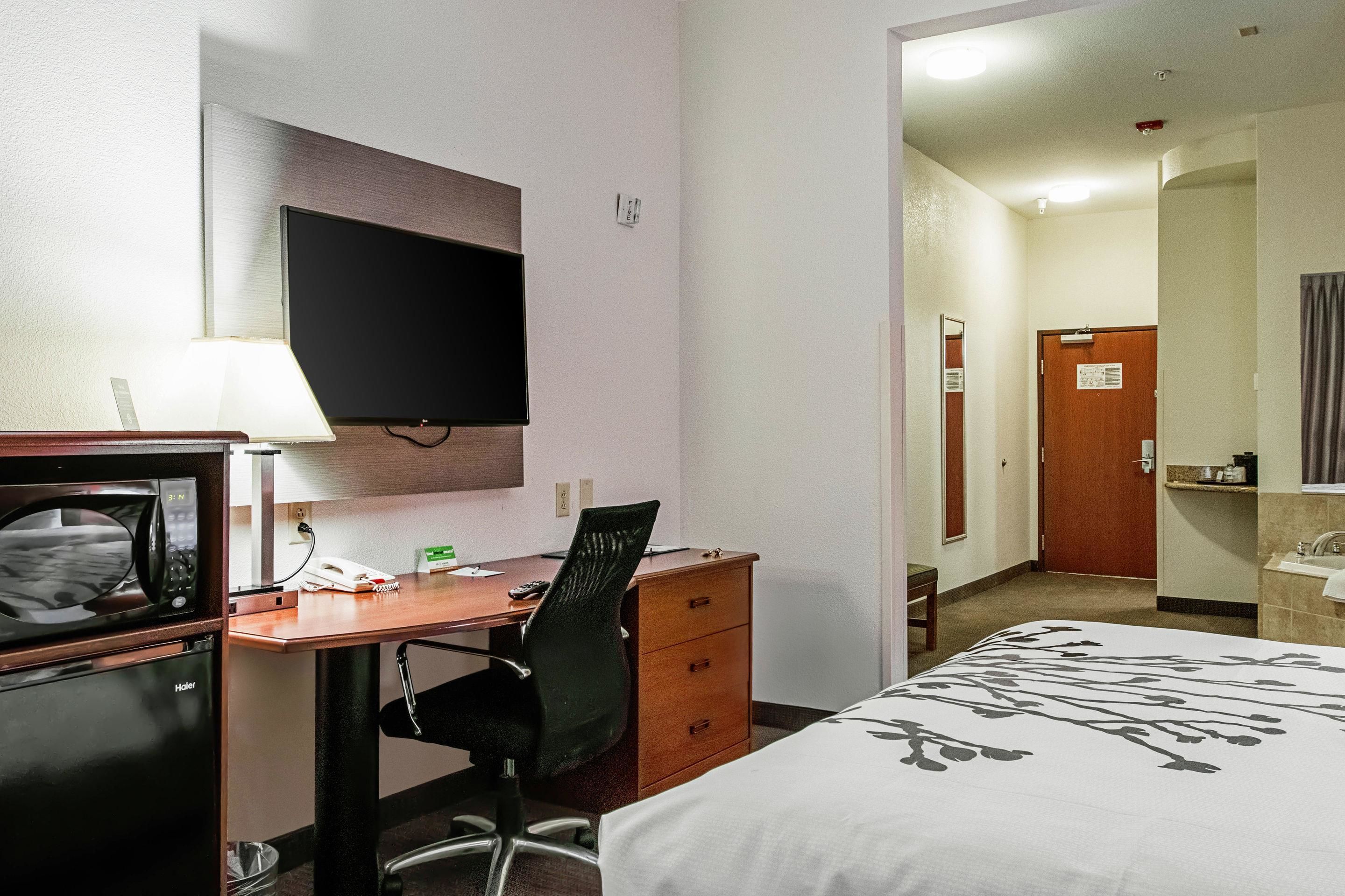 Quarto de hotel com uma cama, uma escrivaninha com cadeira, televisão, micro-ondas e um pequeno frigorífico.