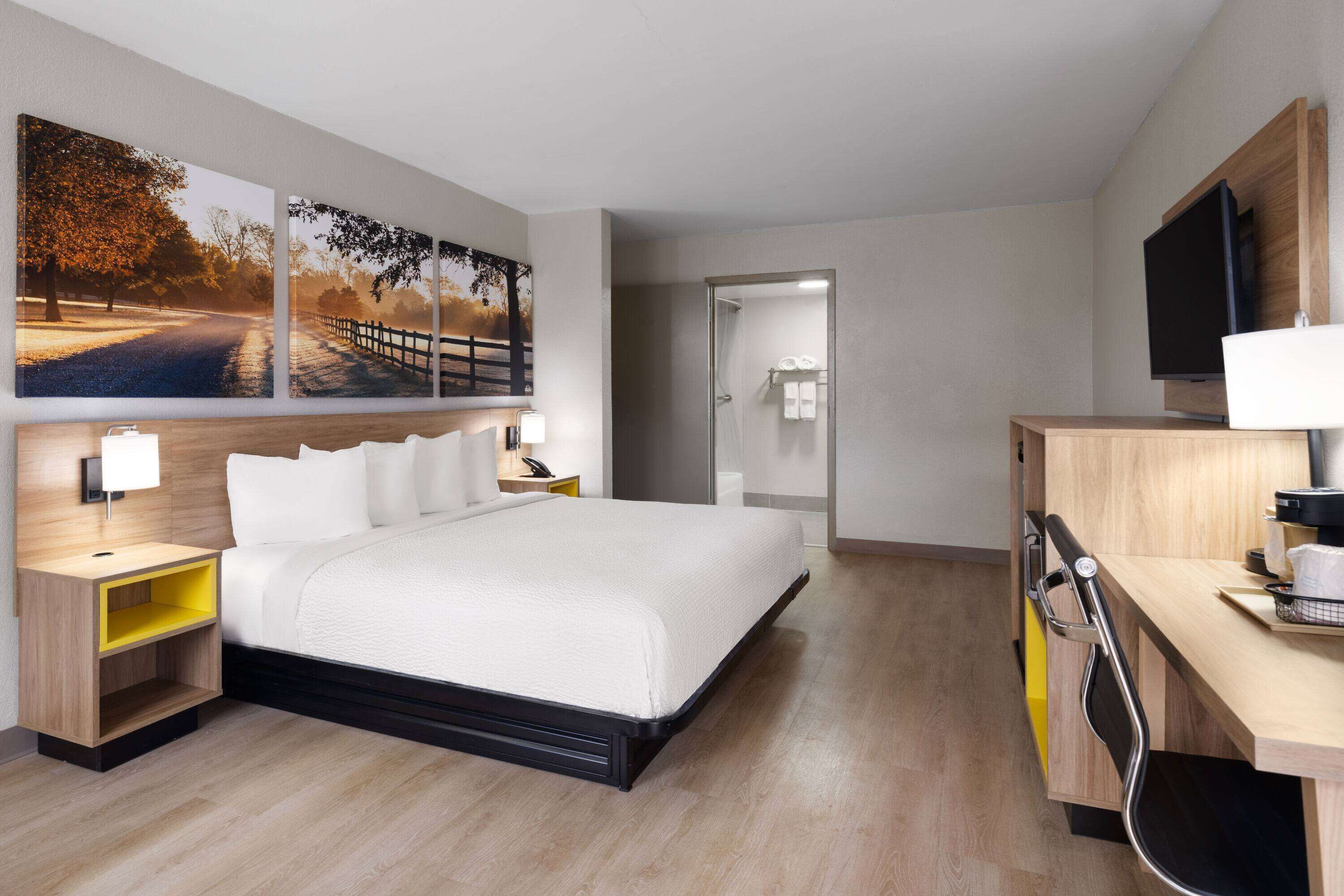 A hotel room with a large bed, a desk with a TV, a shower, and artwork on the wall.