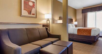 Comfort Suites Airport South