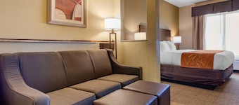 Comfort Suites Airport South
