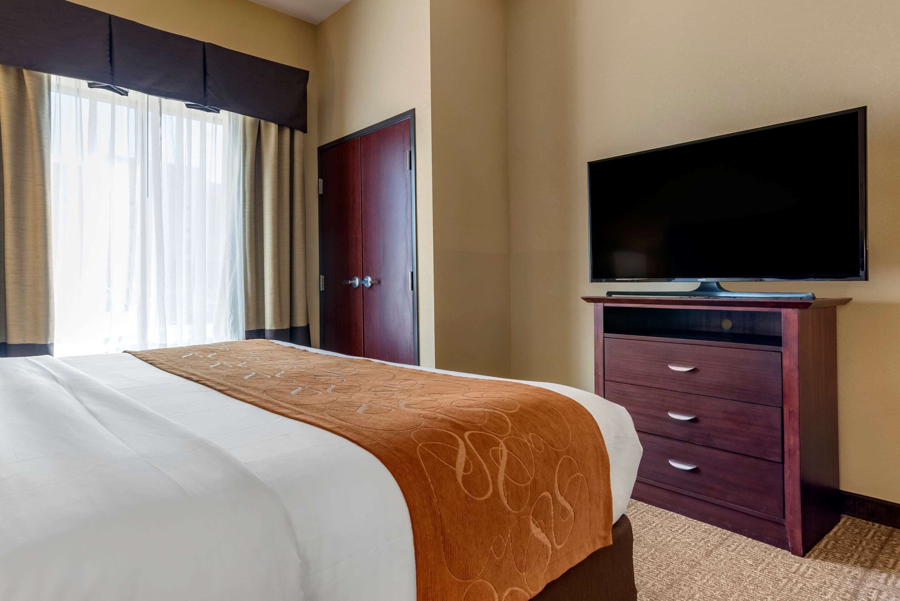 egyptian cotton sheets, premium bedding, down duvets, blackout curtains