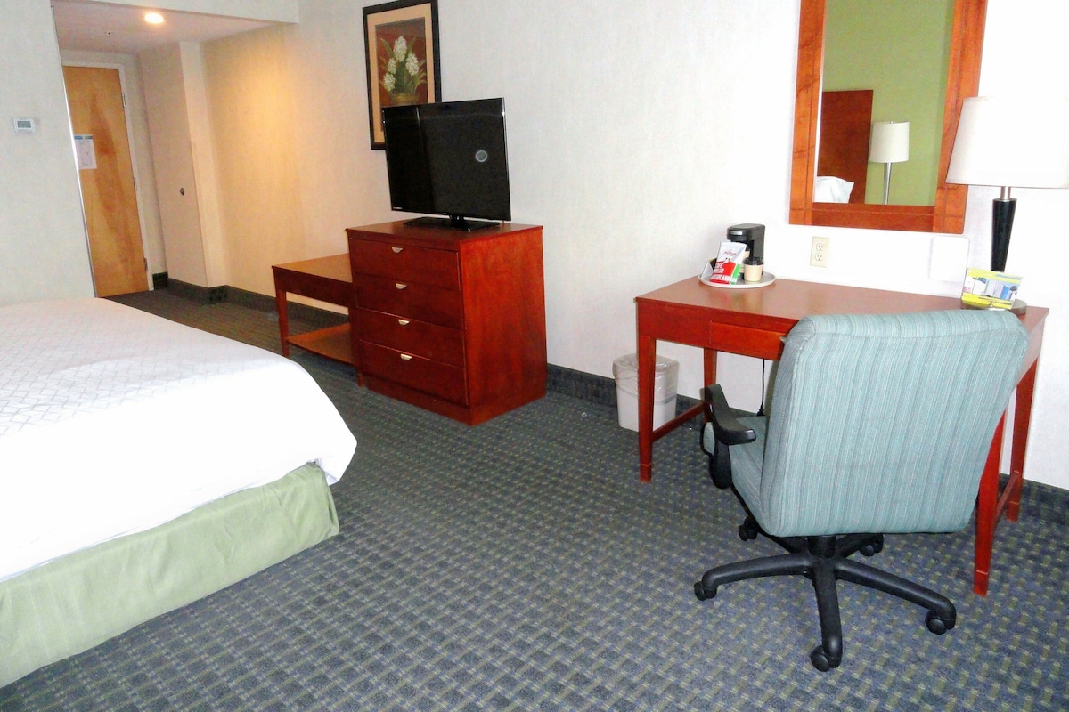 Habitación de hotel con cama, escritorio de madera con silla, televisión y un pequeño cubo de basura.