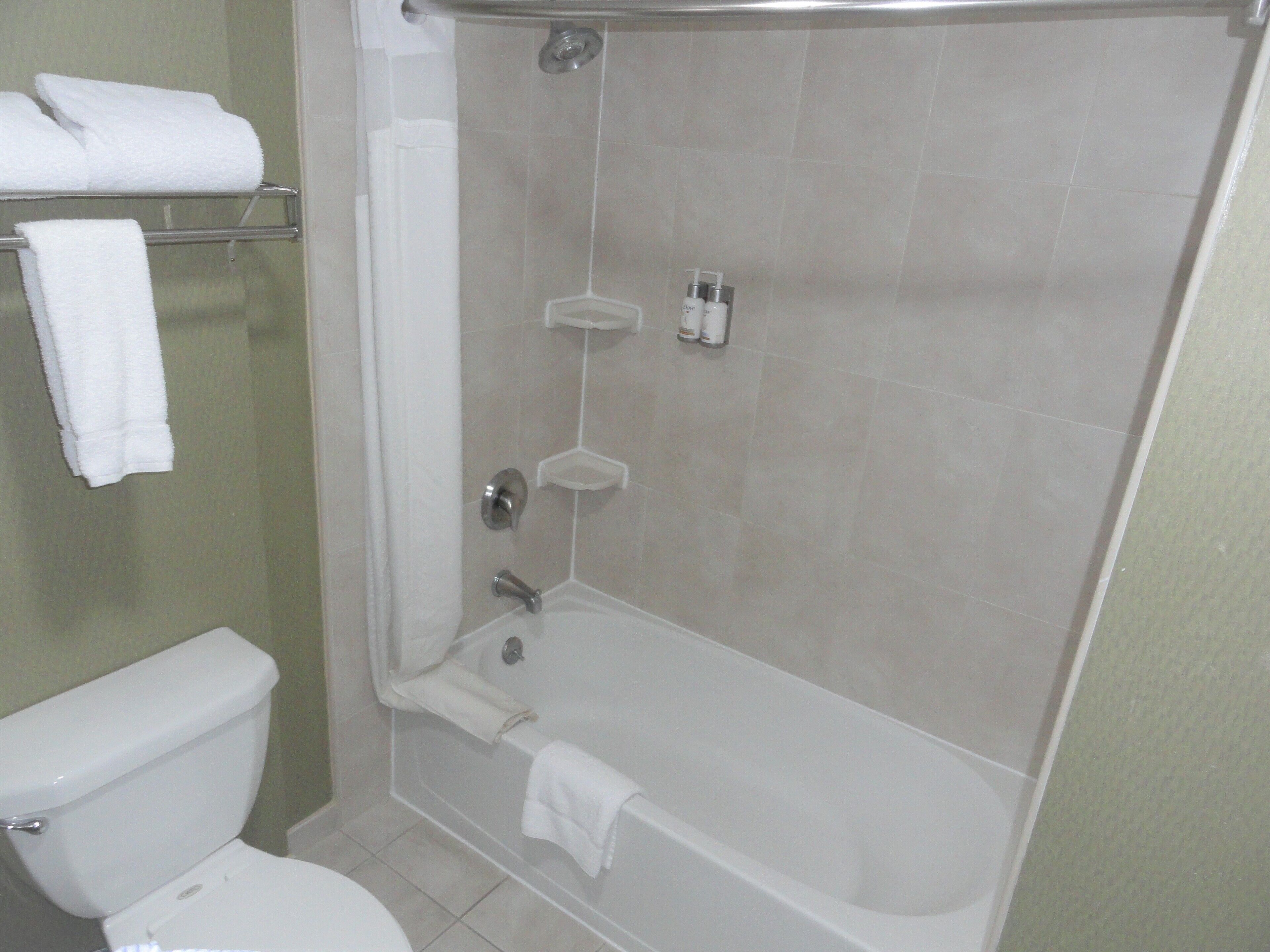 A bathroom with a toilet, a shower, and a bathtub.