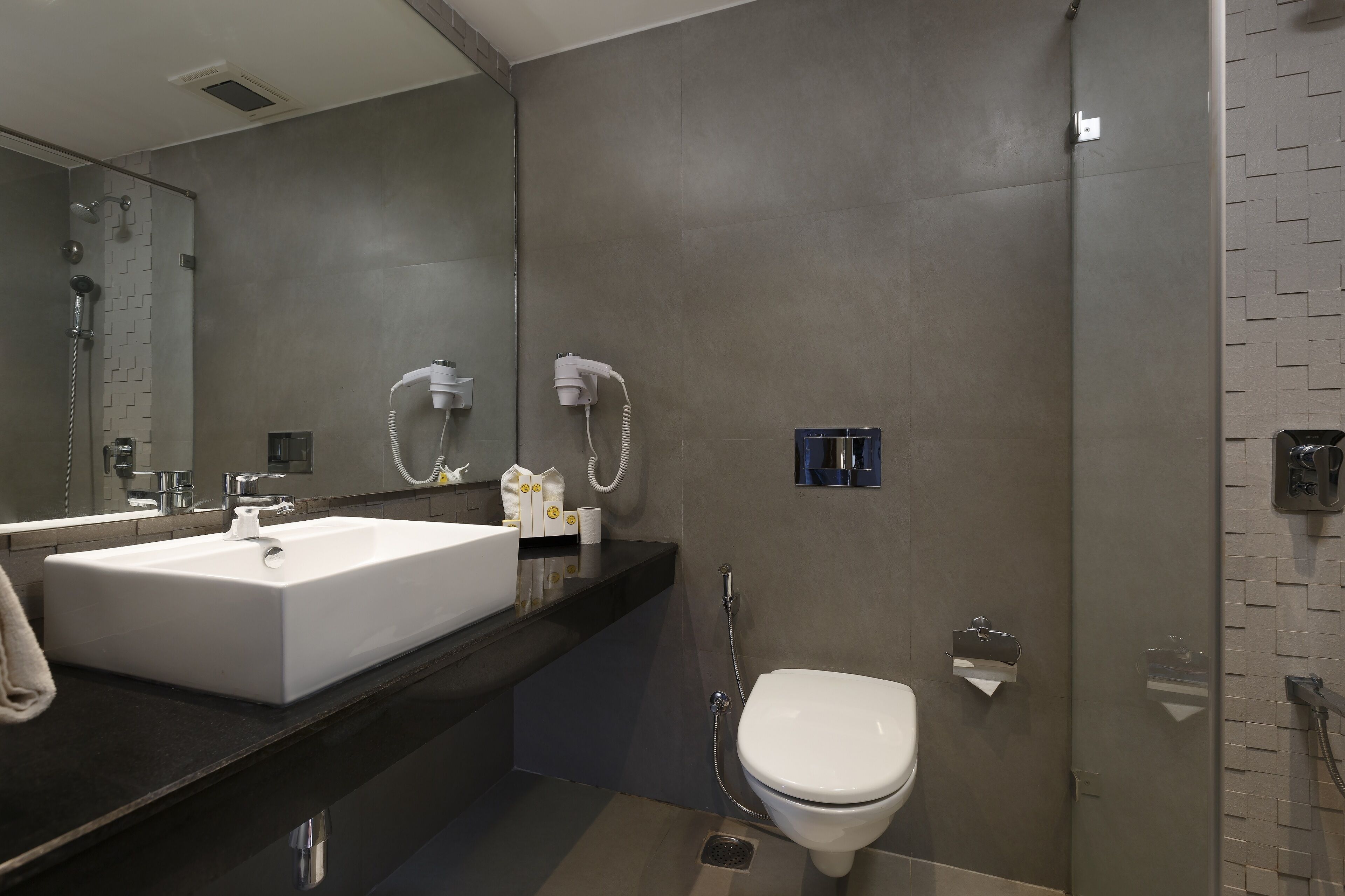 A modern bathroom with a large sink, a toilet, and a shower area.