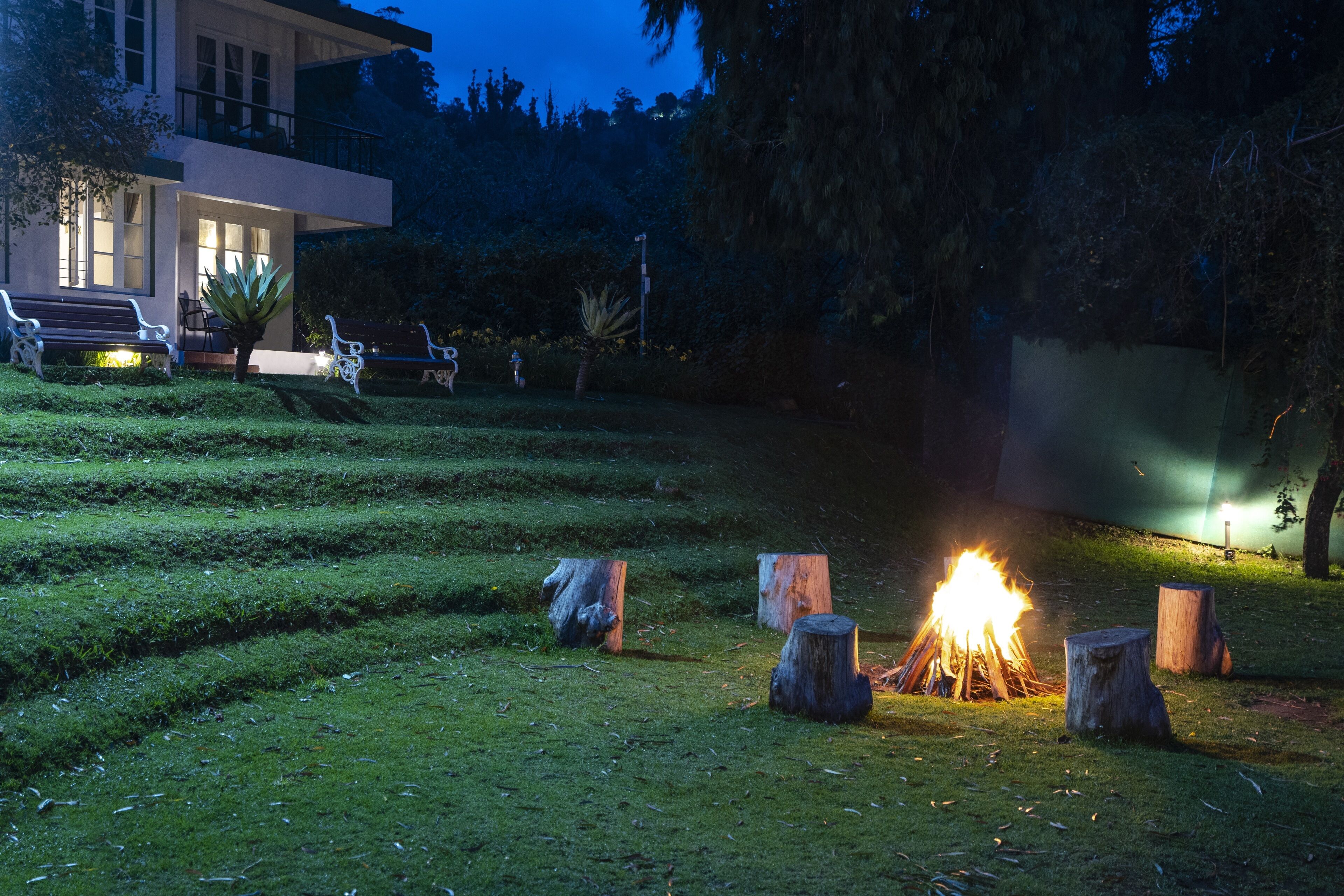 A well-maintained garden with a fire pit surrounded by wooden stumps, benches, and a house in the background.