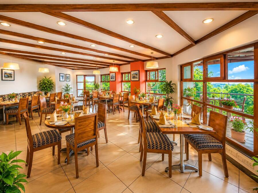 A restaurant with wooden furniture, large windows, and potted plants.