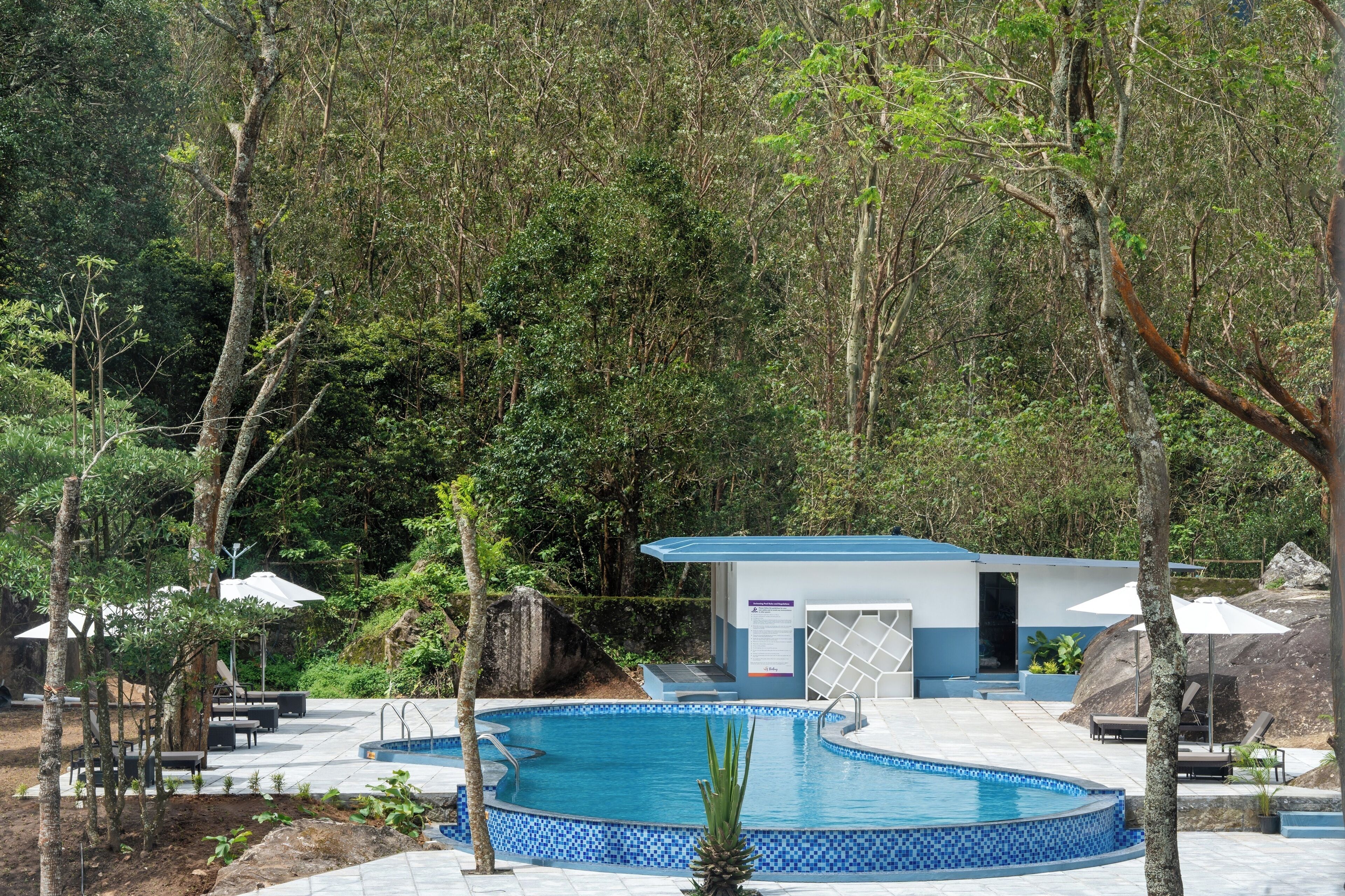 Un espace piscine bordé de carreaux bleus, entouré d’arbres et d’un petit bâtiment doté d’une porte et de fenêtres.