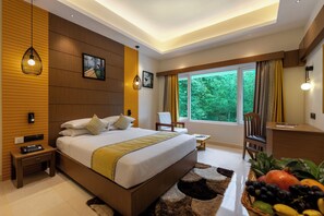 Vue de la chambre