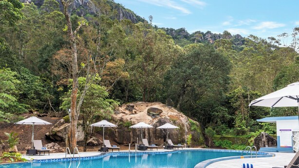 A pool area with lounge chairs and umbrellas, surrounded by lush greenery and rocky hills. - Sterling Munnar (Devikolam)