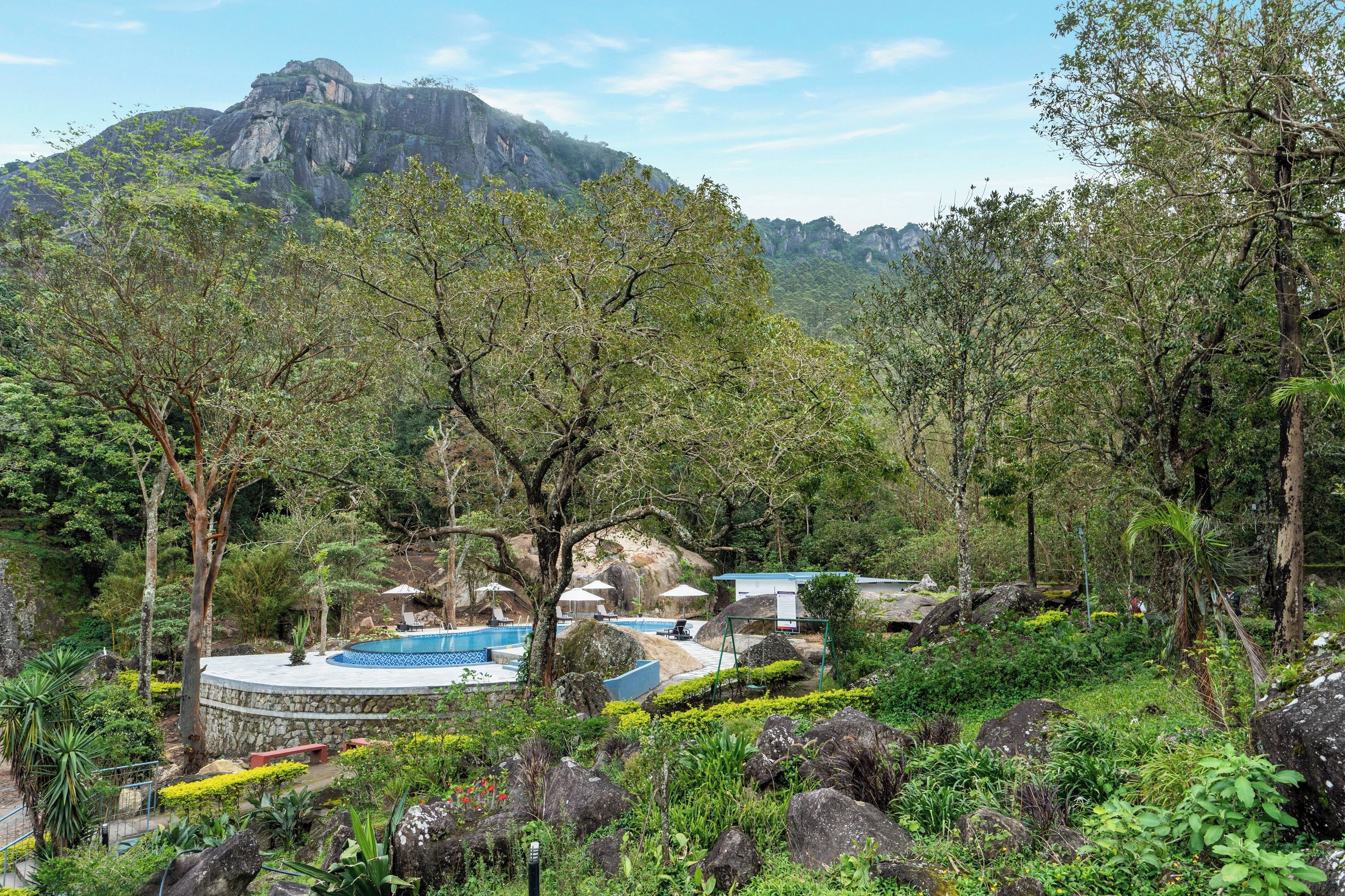 A lush garden with a pool, surrounded by trees and rocks, with a mountain in the background.