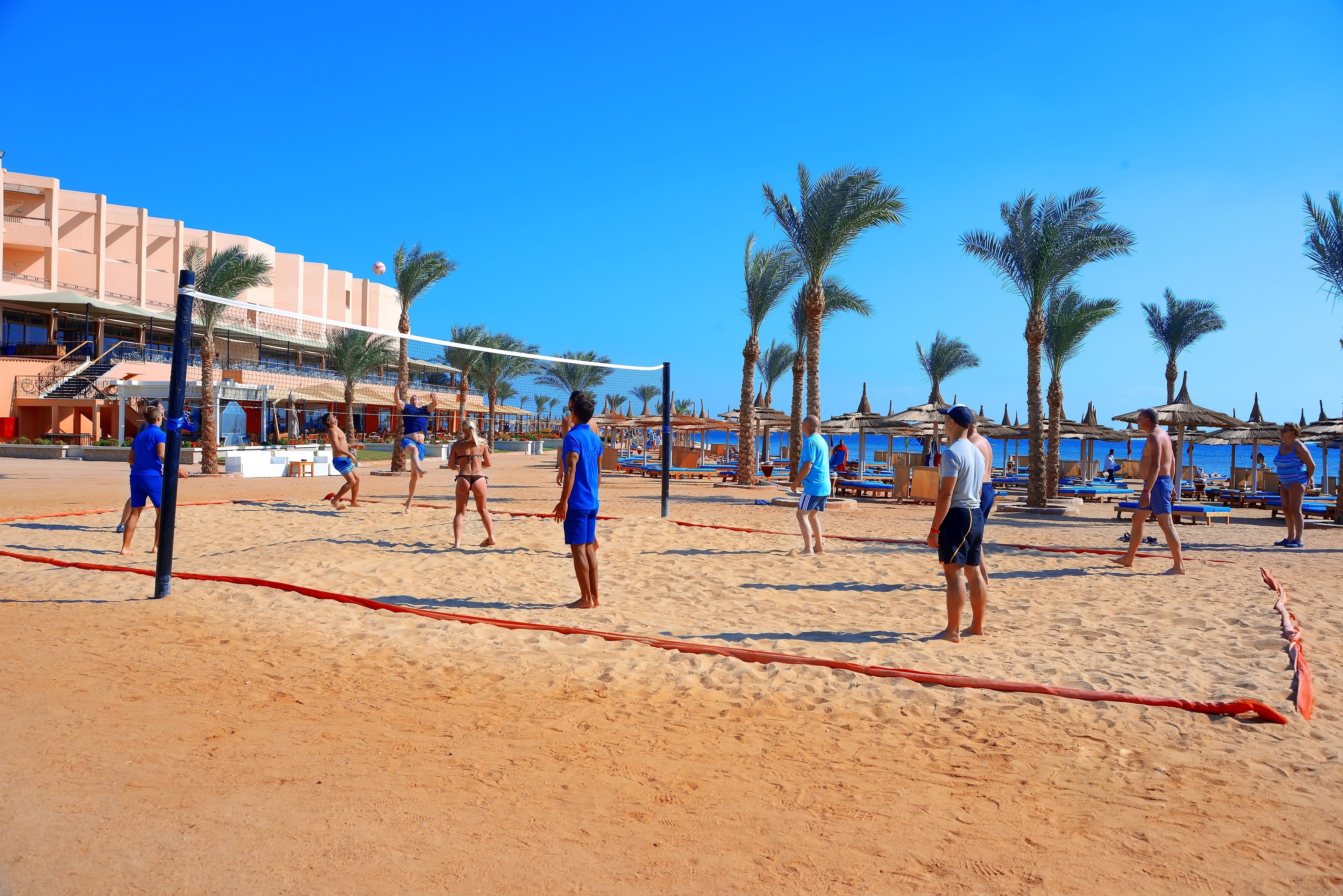 A beach volleyball game on a sandy court with palm trees and a building in the background.
