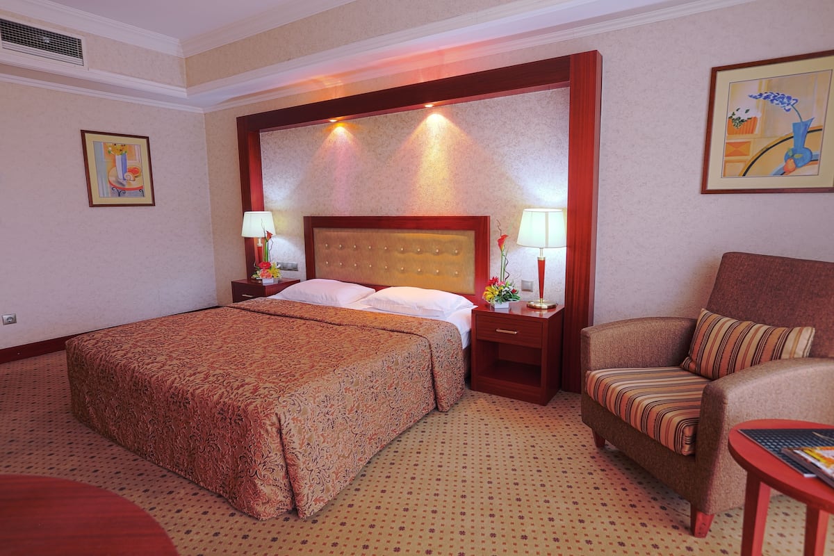 Sábanas de algodón egipcio, ropa de cama hipoalergénica, minibar