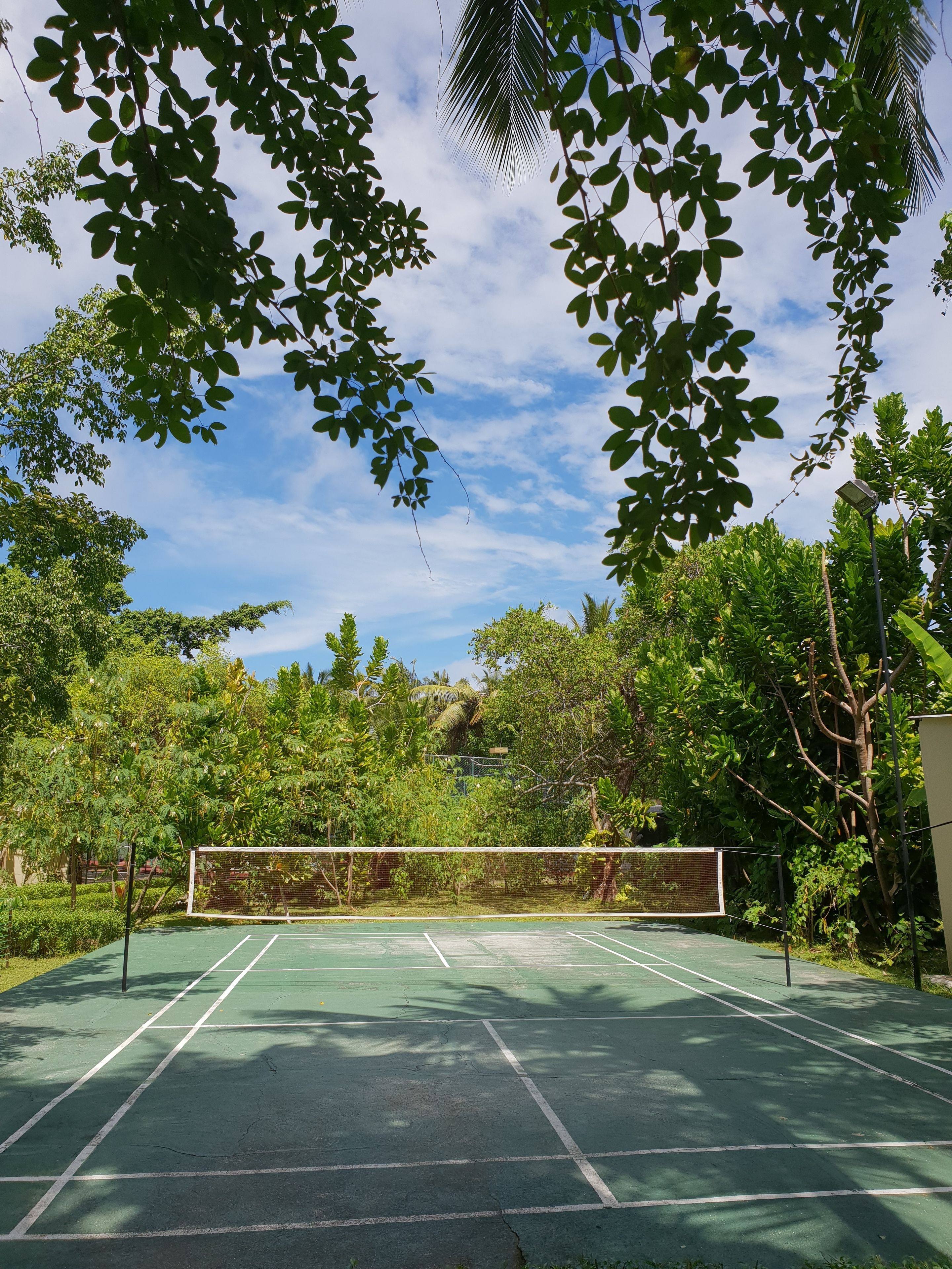 tennis court