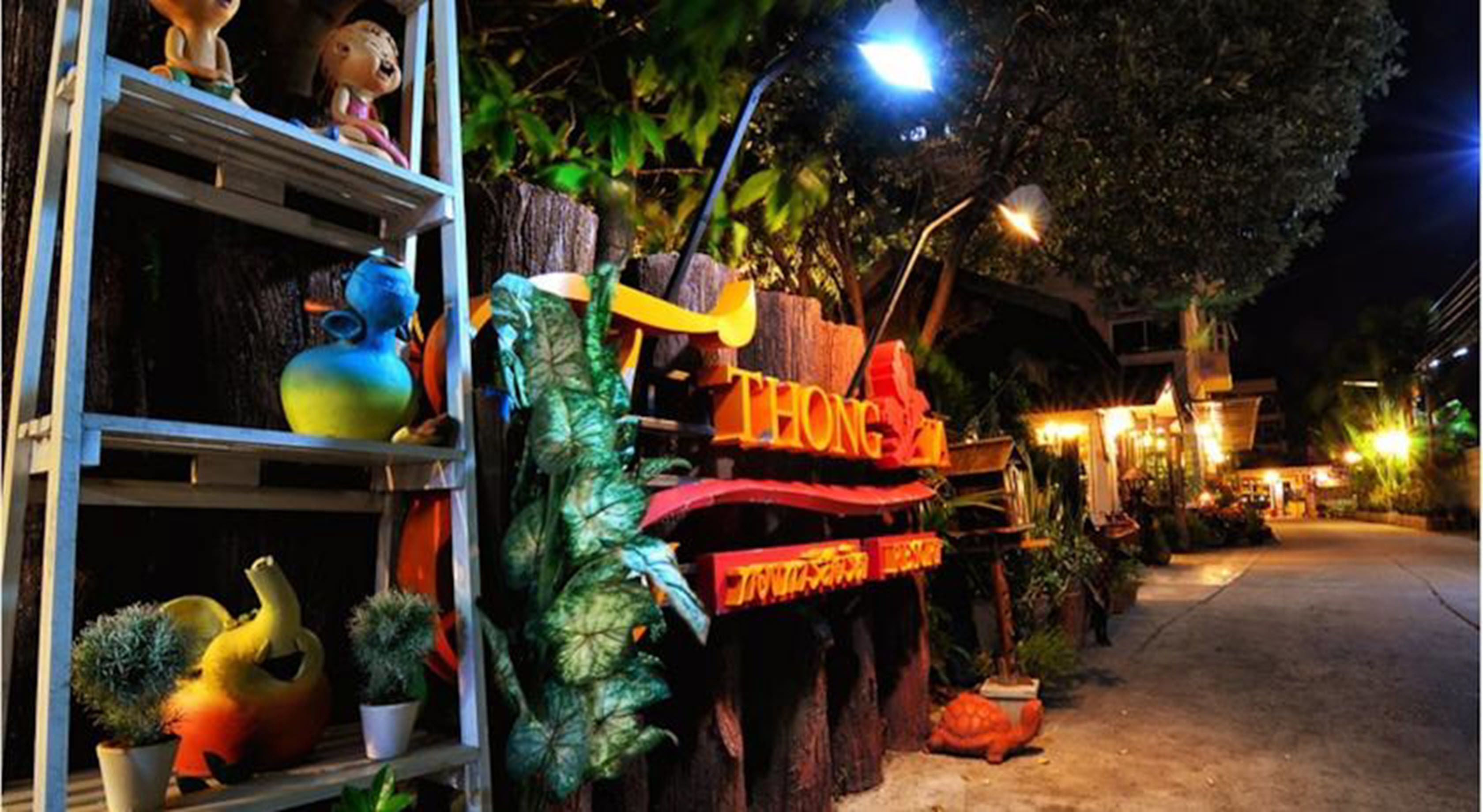 A brightly lit storefront with a sign reading "THONG" and various colorful items displayed outside, including a blue bird, a yellow bird, and several potted plants.