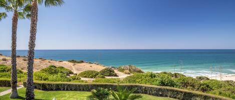 A coastal landscape with palm trees, a beach, and a clear sky.