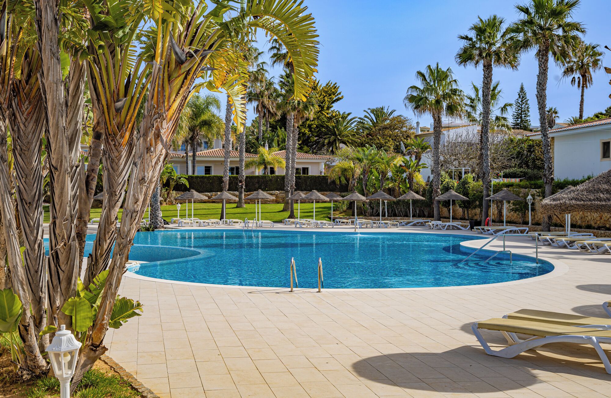 A swimming pool with lounge chairs, palm trees, and a building in the background.