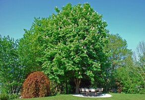 Vista da propriedade